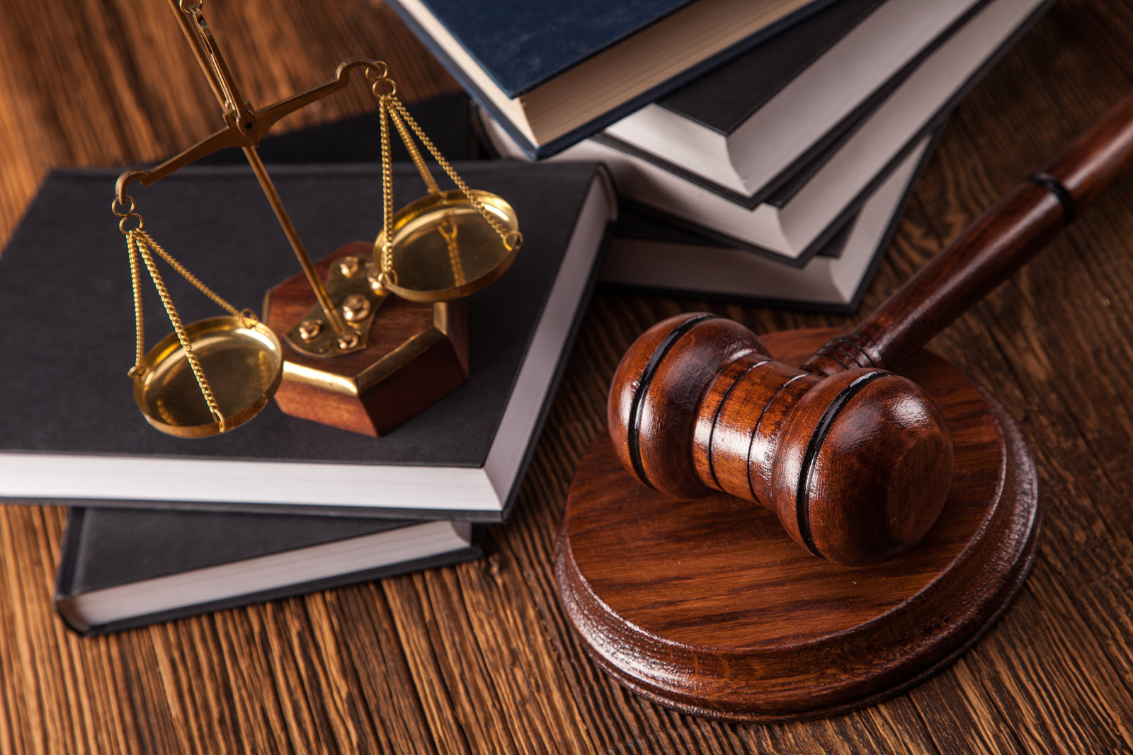 mold law group